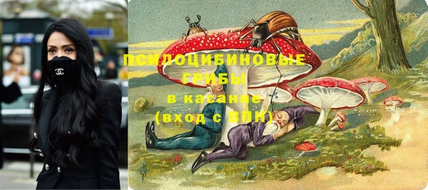 дживик Заволжск