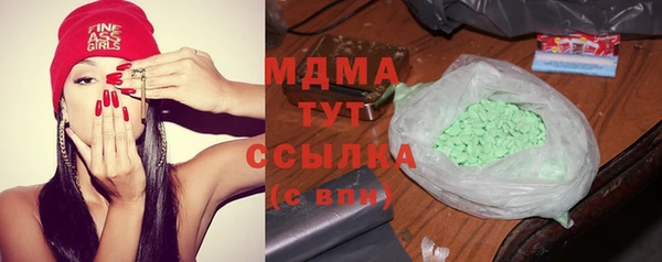 хмурый Щигры