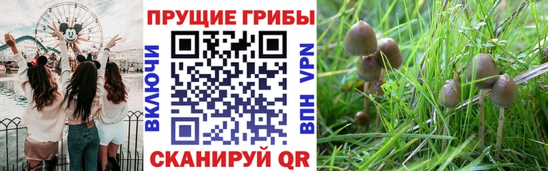 Псилоцибиновые грибы Magic Shrooms  Северо-Курильск 